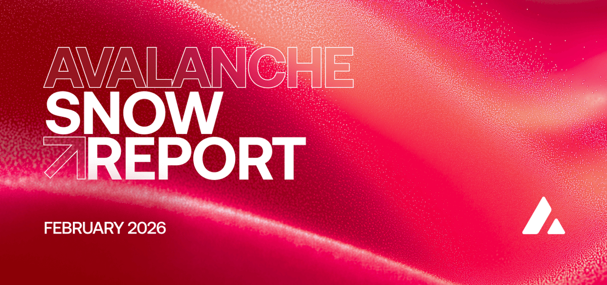 The Snow Report by Avalanche: February 2026