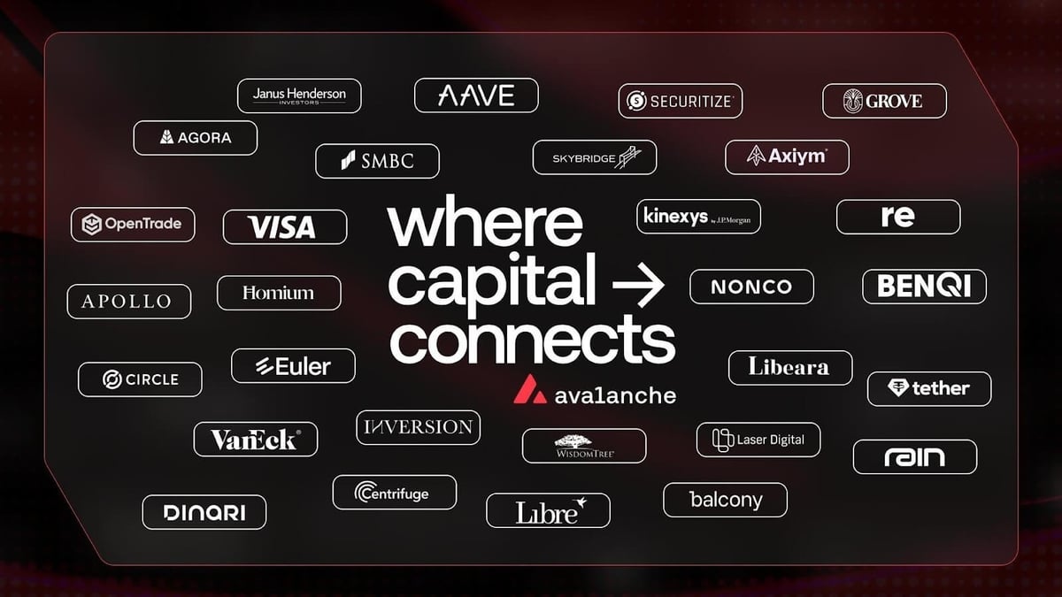 Avalanche: Where Capital Connects