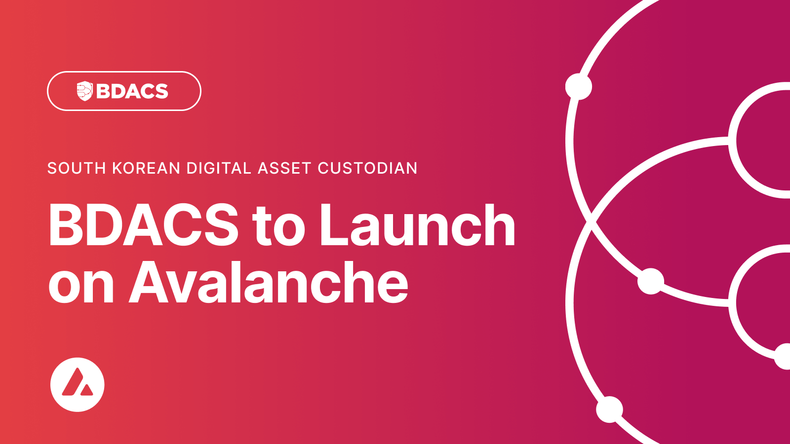 BDACS to Launch on Avalanche