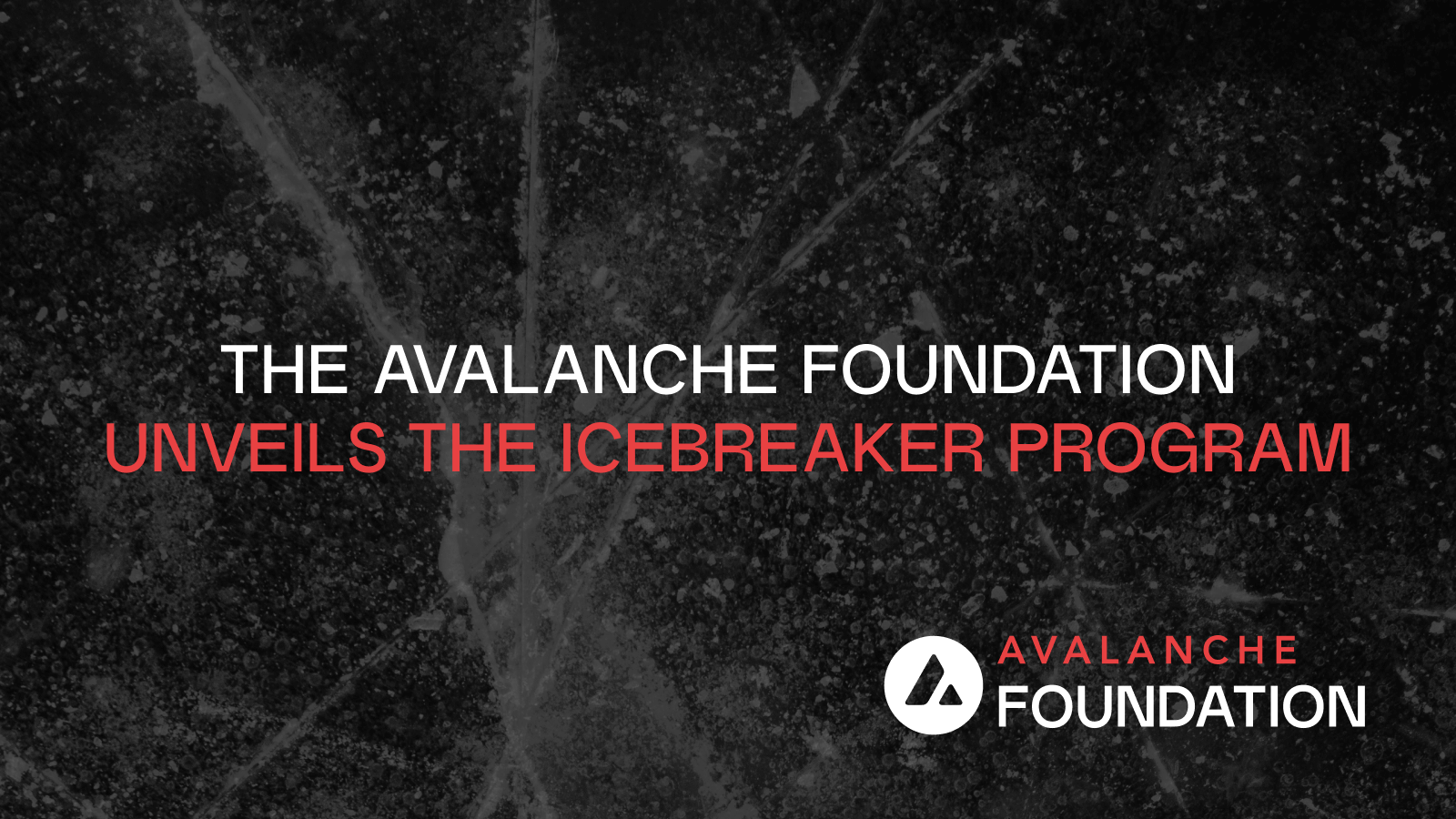 The Avalanche Foundation's Icebreaker Program