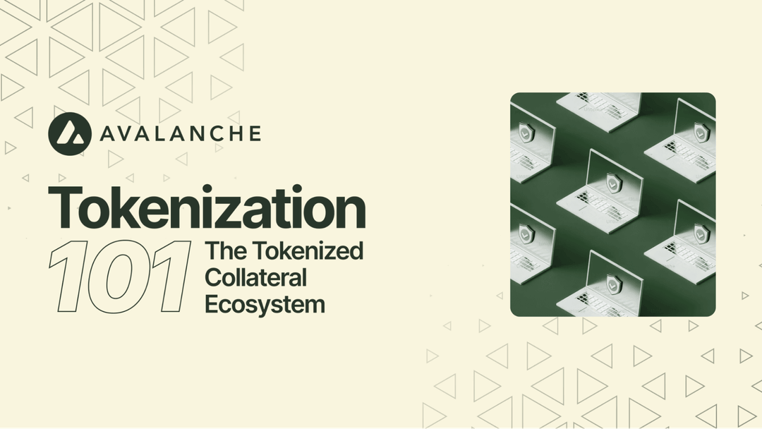 Tokenization 101: The Tokenized Collateral Ecosystem