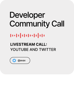 Avalanche Dev Community Call